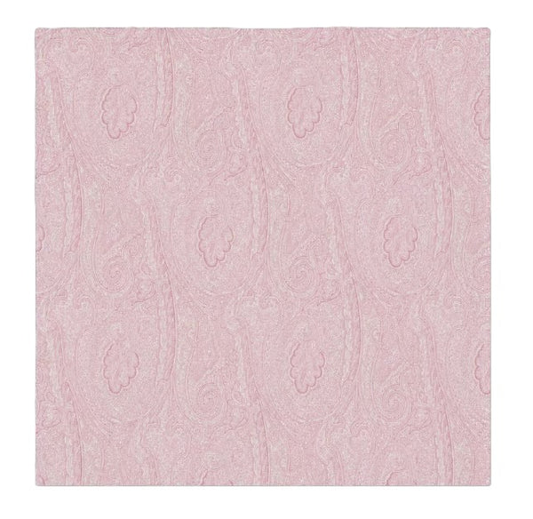 Etro coperta neonato rosa - vista frontale